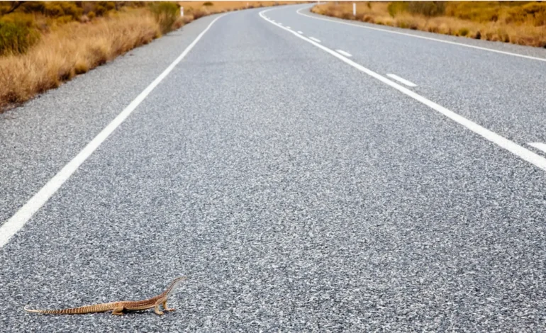 The Magical Drive From Melbourne to Uluru