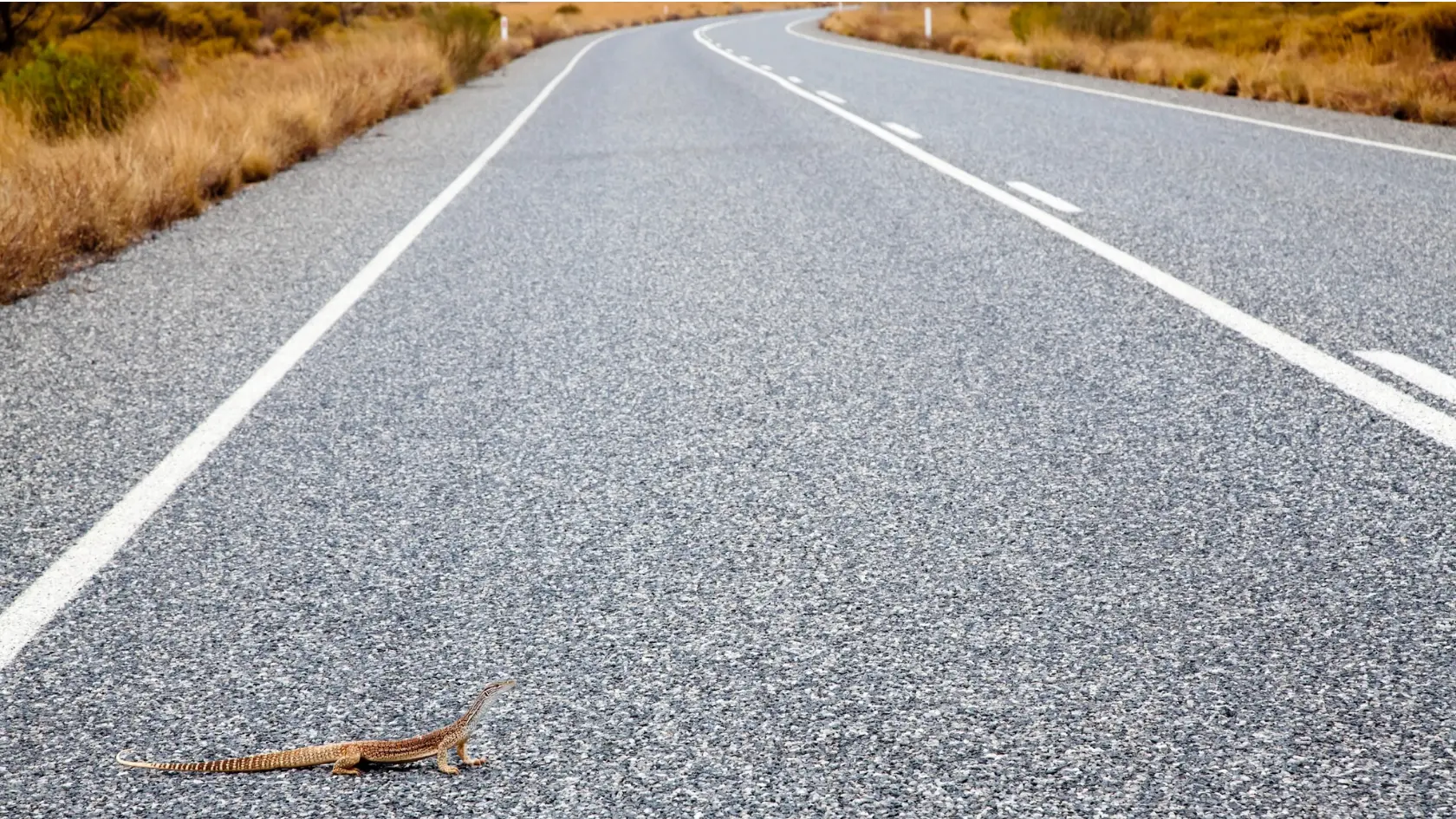 The Magical Drive From Melbourne to Uluru