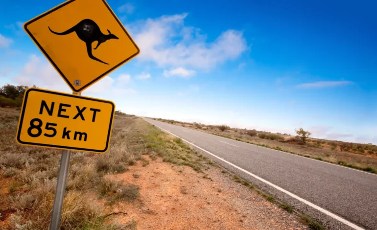 Top 5 Things to Do in Australia: Unique Experiences You Can’t Miss